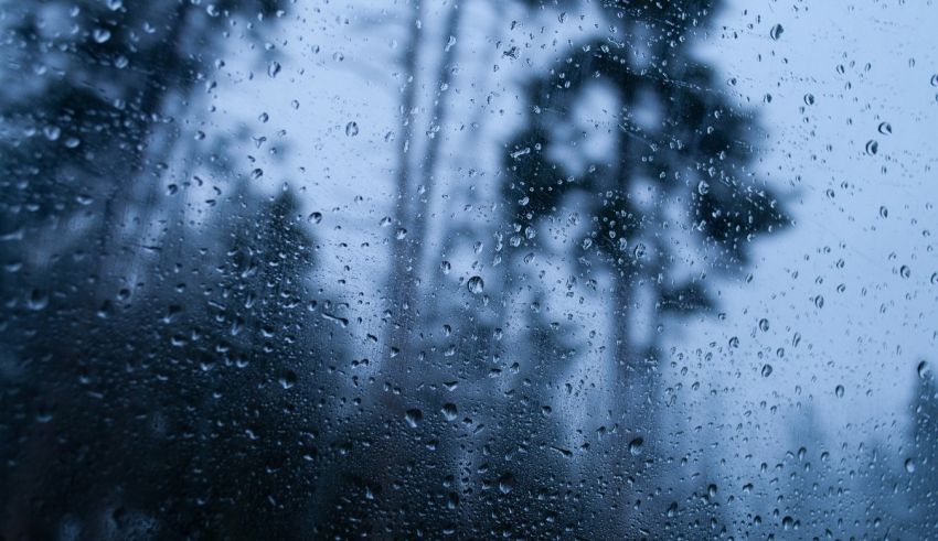 Raindrops on a window with trees in the background.