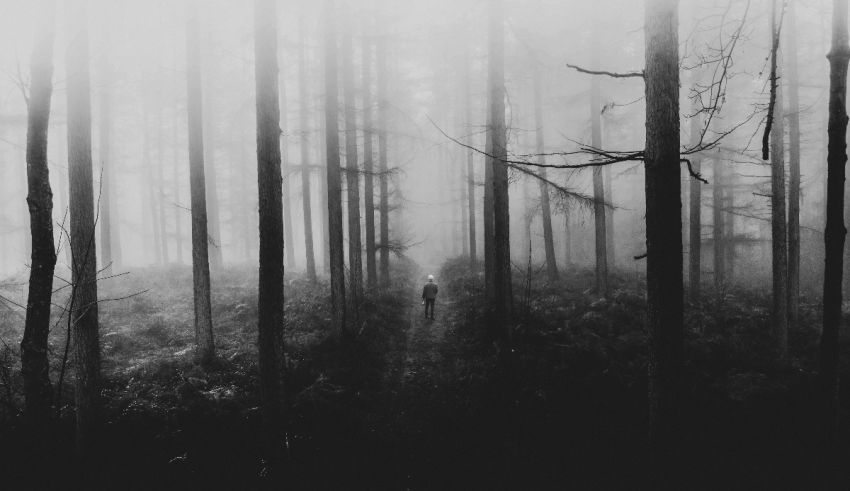 A black and white photo of a person walking through a foggy forest.