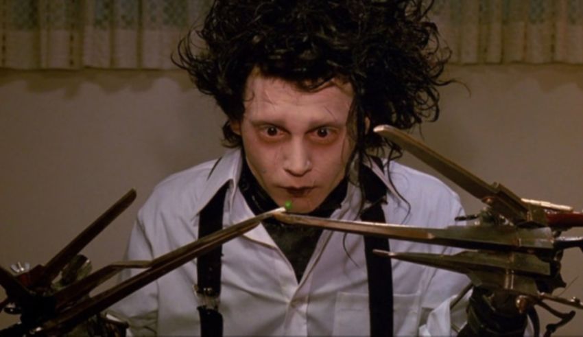 The edward scissorhands from the edward scissorhands.