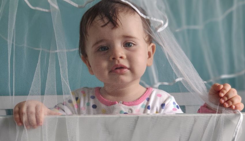 A baby is sitting in a crib with a net over her head.