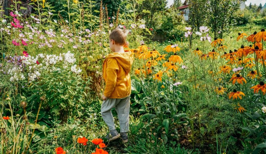 A young boy is standing in a garden full of flowers.