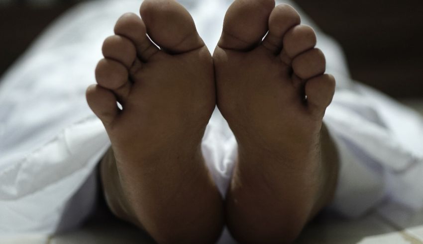 A person's feet are laying on a bed.