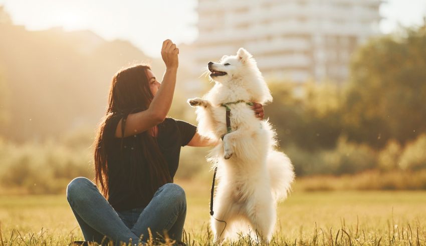 A woman is playing with a white dog in a park.