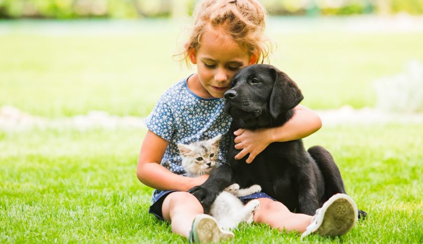 A little girl is sitting on the grass with a black dog and a kitten.