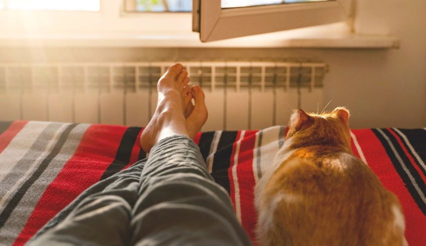 A person's feet on a bed next to a cat.