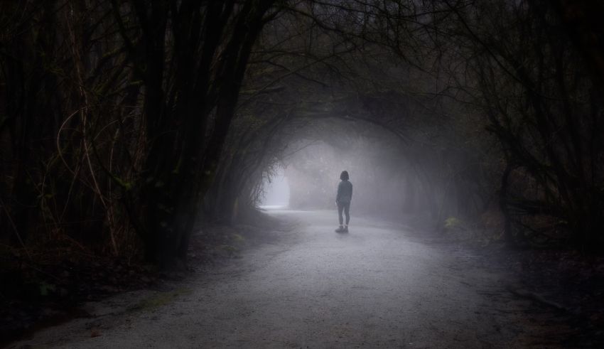 A person is walking down a dark path in the woods.