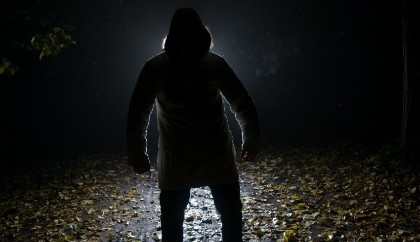 A man in a hoodie standing on a path at night.