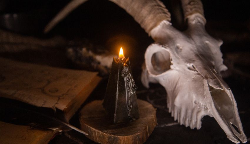 A candle next to a ram skull and a book.