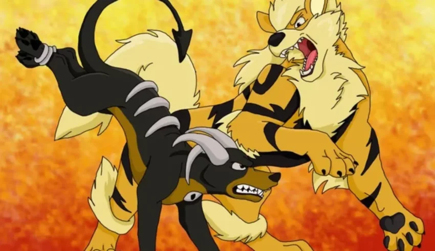 A black and yellow tiger and a black and white tiger fighting.