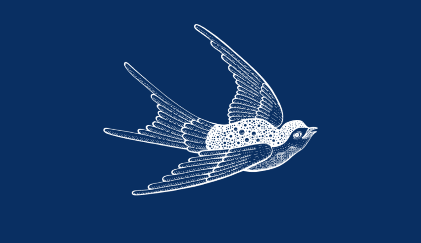 An illustration of a swallow flying on a blue background.