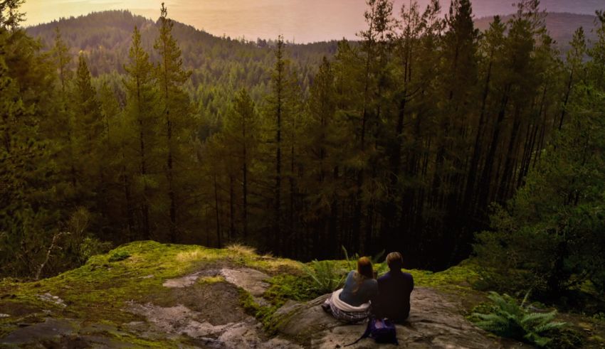 Two people sitting on top of a rock overlooking a forest.