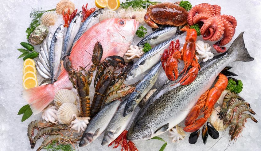 A variety of fish and seafood on ice.