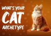 What's Your Cat Archetype