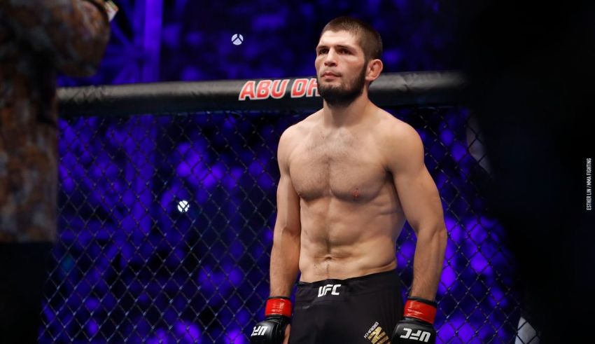 Which UFC Fighter Are You