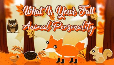 What Is Your Fall Animal Personality