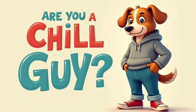 Are You a Chill Guy