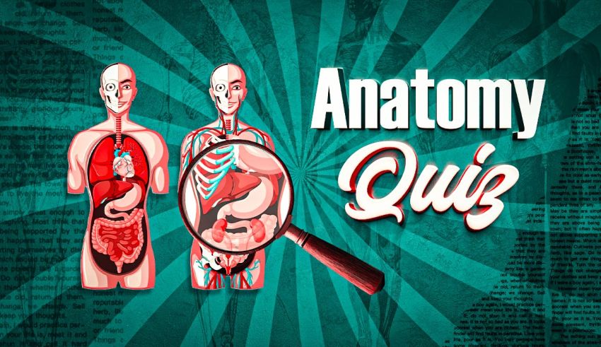 Anatomy Quiz