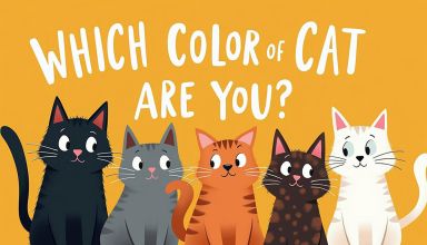 Which Color of Cat Are You